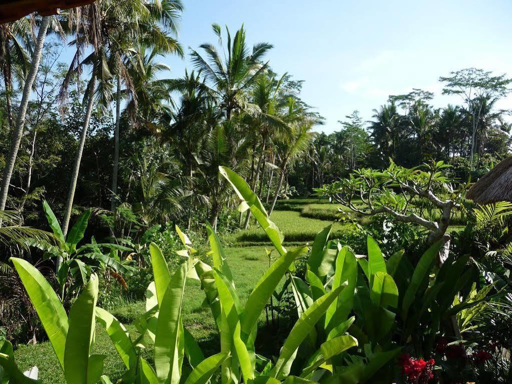 Willa Umajati Retreat Ubud Zewnętrze zdjęcie
